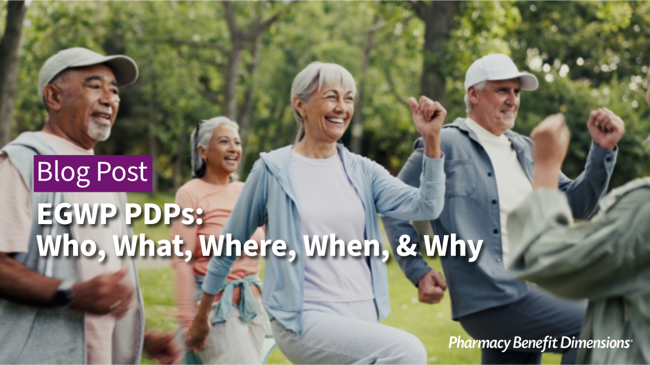 EGWP PDPs: Everything Employers Need to Know